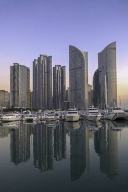 Busan, Güney Kore - 11 Ocak 2020: Güney Kore 'nin Busan kentindeki modern apartman binaları ve yat marinasının gökdelenleri