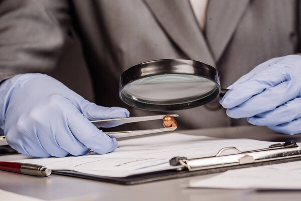 Expert with magnifying glass