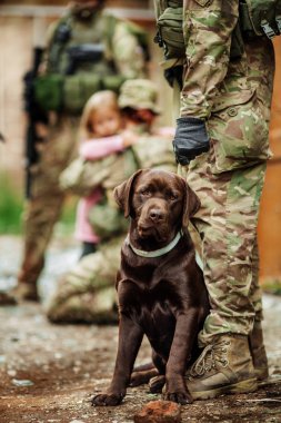 Asker Hugs köpek
