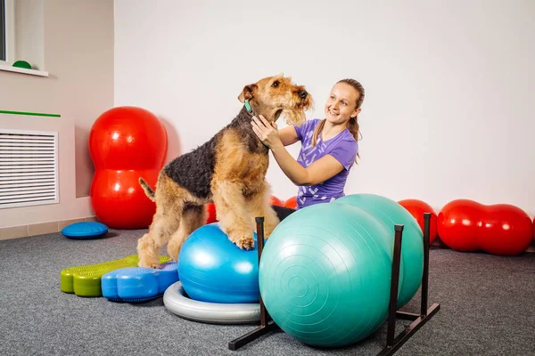 Hundetraining im Fitnessclub — Stockfoto