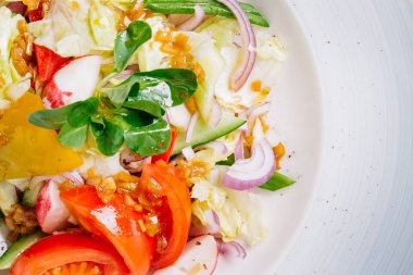 Sebzeli yeşil salata