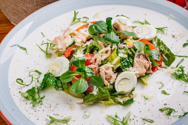 Ensalada de Nicoise de cerca —  Fotos de Stock