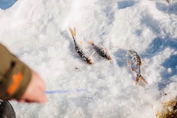氷の上に魚、漁師をキャッチ. — ストック写真