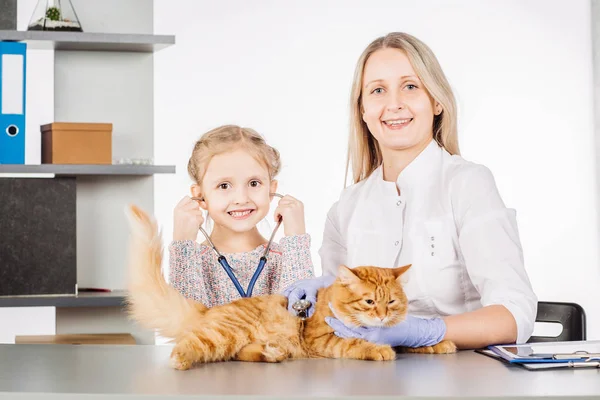 Veterinário feminino e menina com gatinho na clínica — Fotografia de Stock