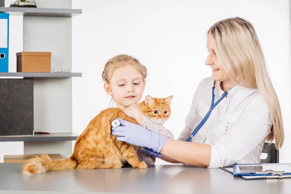 Vrouwelijke dierenarts en meisje met katje in kliniek — Stockfoto