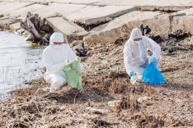 Sahilde çöp temizleme üzerinde birlikte çalışma Ecologysts 