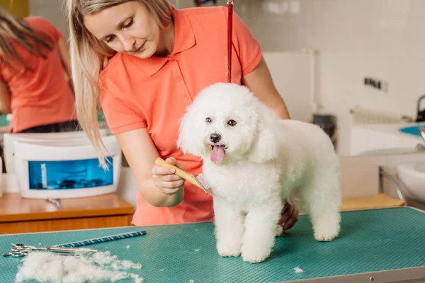 Grooming hund med verktyg för att kasta hår. — Stockfoto