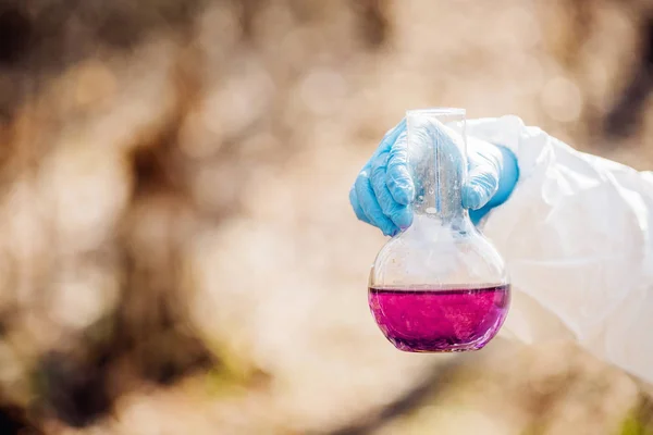 Femelle Scientifique Examinant Contenu Liquide Une Éprouvette Dans Forêt Concept — Photo