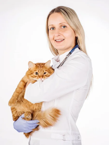 Médico mulher com estetoscópio — Fotografia de Stock