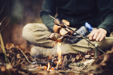 yangında ızgara Stick bıldırcın. lezzetli orman piknik.