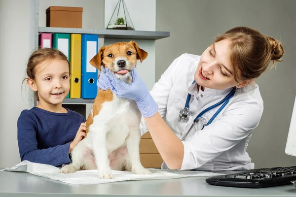 Veteriner Veteriner Kliniği Başında — Stok fotoğraf