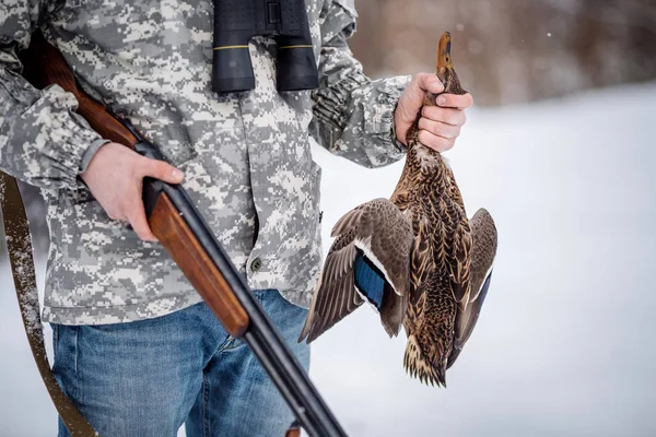 Caçador Camuflagem Com Espingarda Segurando Presas Pato Floresta Inverno Conceito — Fotografia de Stock