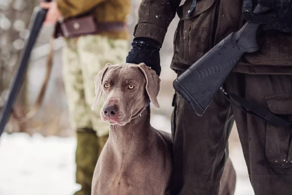 Hunter and his weimaraner dog by a river in the winter hunting s — Stock Photo, Image