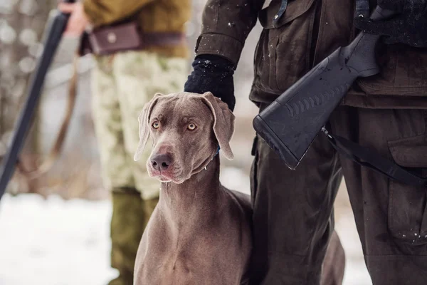 Chasseur et son chien weimaraner près d'une rivière en hiver chasse s — Photo