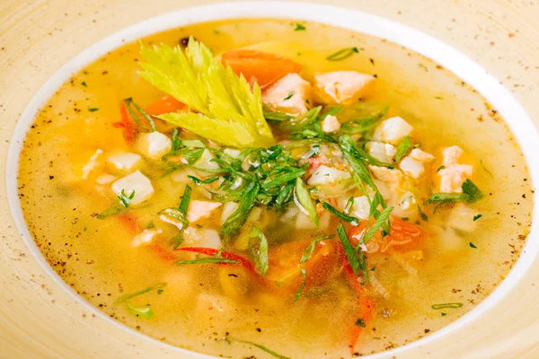 Soup with fish and vegetables served on a white round plate — Stock Image Soup with fish and vegetables served on a white round plate Stock Picture