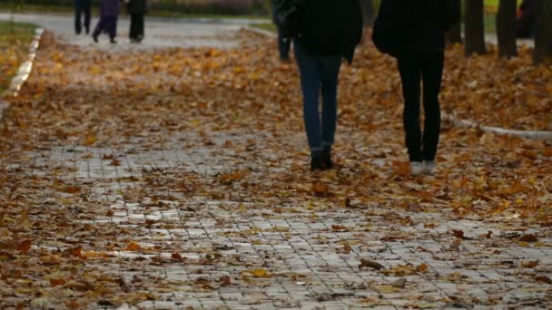 Feuilles jaunes d'automne sous les pieds des gens — Video