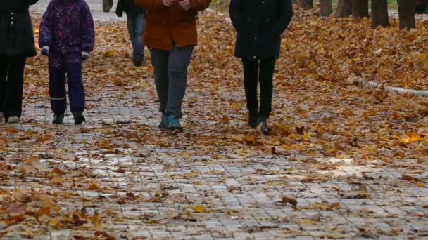 Hojas amarillas de otoño bajo los pies de la gente — Vídeos de Stock