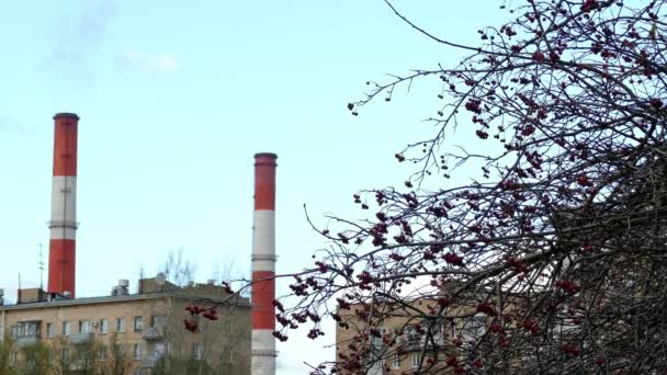 Sottostazione tubazioni, Edificio residenziale — Video Stock