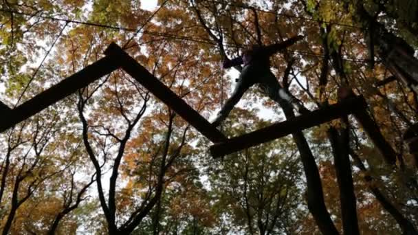 Parcours d'obstacles à une altitude dans le parc — Video