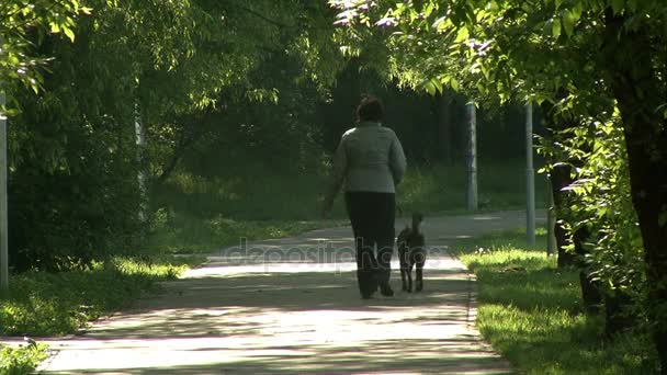 Dame met de hond terug in het groene Park — Stockvideo