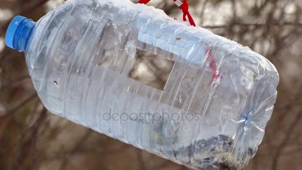 Futterstellen für Vögel aus dem Wassertank — Stockvideo