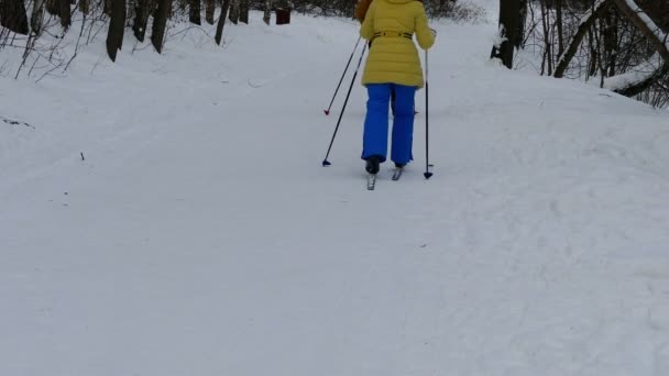 冬の森、退却スキーヤー コース, — ストック動画