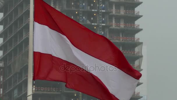 Flaga Austrii na wietrze — Wideo stockowe