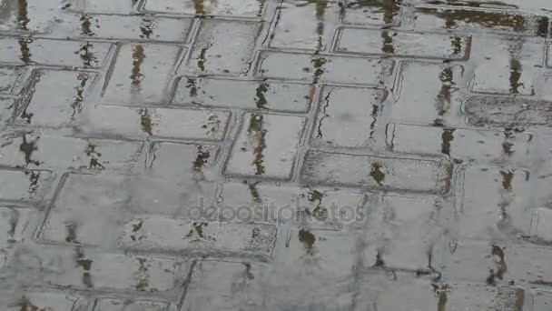 夏天在人行道上雨 — 图库视频影像