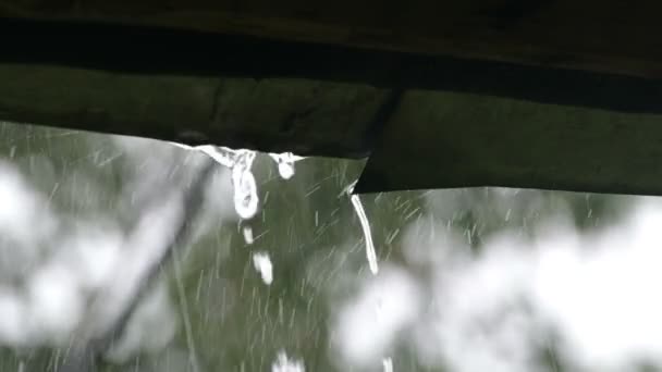 Капли дождя падают с крыши — стоковое видео