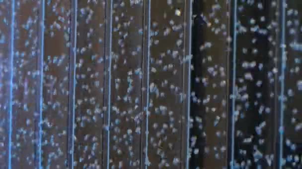Bewegung von Wasserblasen in Form eines dekorativen Hintergrundes — Stockvideo