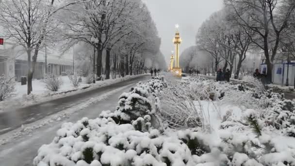 Parc Gorky à Moscou en hiver — Video