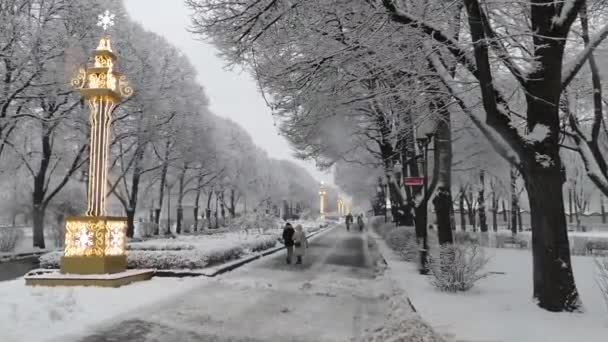 Parc Gorky à Moscou en hiver — Video