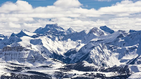 Dağ Kayak Merkezi ve Mount tanımlık Assiniboine Bannf Milli Parkı Alberta Kanada