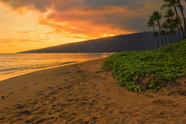 Sugar Beach Kihei Maui Hawaii USA — Stock Photo, Image