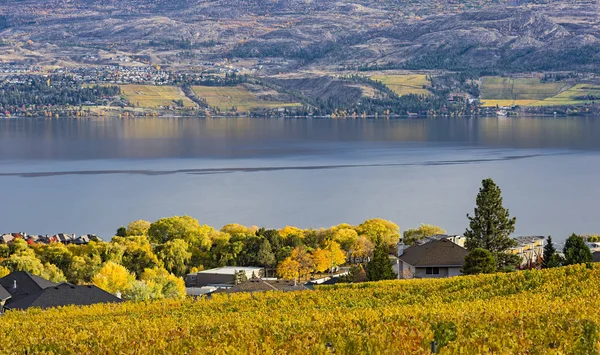 Okanagan Gölü Kelowna Bc Kanada bakan bağ