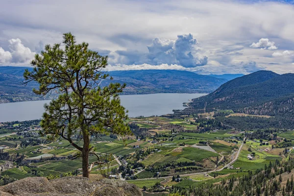 Kebun buah dan Danau Okanagan dari Giants Head Mountain dekat Summerland British Columbia Canada — Stok Foto