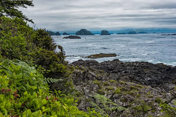 West coast Vancouver Adası yakınlarında Ucluelet British Columbia Kanada