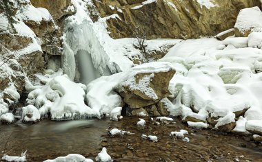 Hardy Peachland Okanagan valleynear Kelowna British Columbia Kanada kış içinde düşüyor
