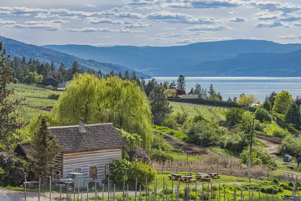 Cabaña y huerto Okanagan Lake Kelowna Columbia Británica Canadá —  Fotos de Stock