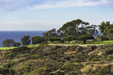 Golf Course at Torrey Pines La Jolla California USA near San Diego clipart
