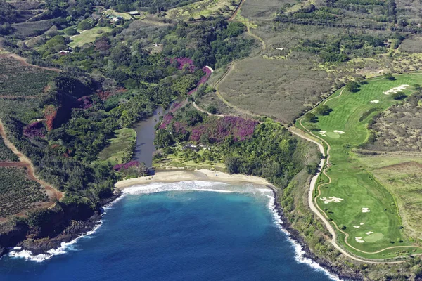 Widok z lotu ptaka na południowe wybrzeże Kauai pokazujący plantacje kawy w pobliżu Poipu Kauai Hawaii Usa — Zdjęcie stockowe
