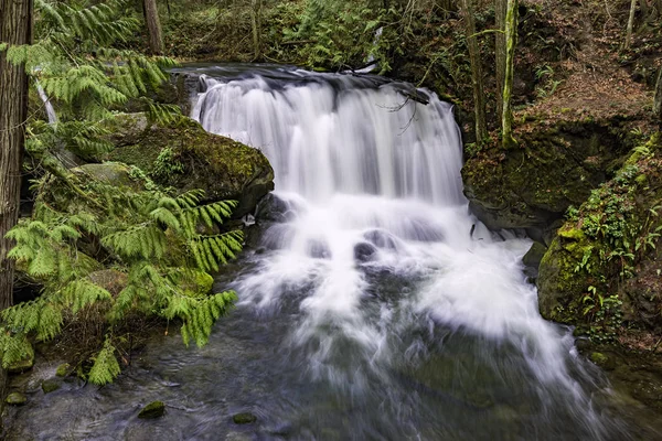 Whatcom Falls in Whatcom Falls Park Bellingham Washington Usa — Stock fotografie