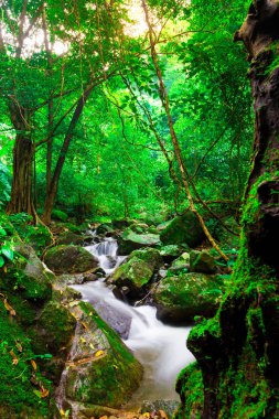 Manzara fotoğraf, yağmur ormanlarında, kokedok şelale: Saraburi, Thailand içinde güzel şelale