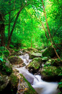 Manzara fotoğraf, yağmur ormanlarında, kokedok şelale: Saraburi, Thailand içinde güzel şelale