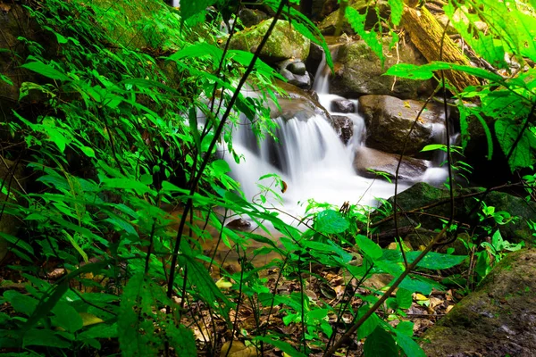 Manzara fotoğraf, yağmur ormanlarında, kokedok şelale: Saraburi, Thailand içinde güzel şelale
