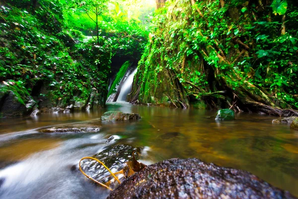 풍경 사진, 열대우림, 사라 부리, 태국에서 kokedok 폭포에에서 아름 다운 폭포 — 스톡 사진