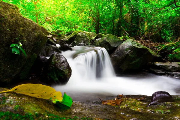Il paesaggio foto, bella cascata nella foresta pluviale, cascata kokedok a Saraburi, Thailandia — Foto Stock