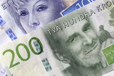 İsveç para birimi yakın çekim