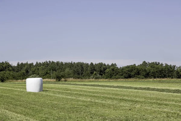 Bale de ensilaje en el campo agrícola — Foto de Stock