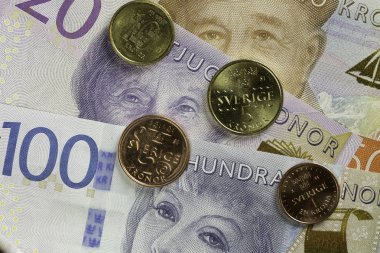 İsveç para birimi yakın çekim